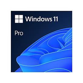 Microsoft Windows 11 Pro 32/64bt Tr/Eng Lisans Esd FQC-10572