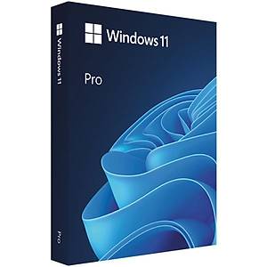 Microsoft Windows 11 Pro 64b�t T�rk�e Kutu HAV-00159