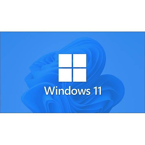 Microsoft Windows 11 Pro 32/64bıt Tr/Eng Lisans Esd FQC-10572