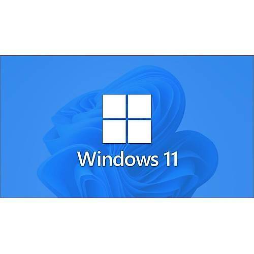 Microsoft Windows 11 Pro 32/64být Tr/Eng Lisans Esd FQC-10572