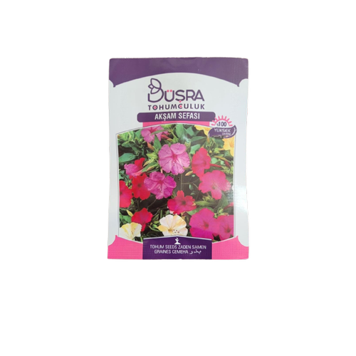 Akşam Sefası Çiçeği Tohumu 1 Paket