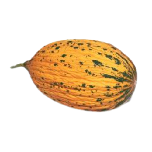Kavun Tohumu Kırkağaç 1 Paket