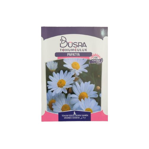 Papatya Çiçeği Tohumu 1 Paket