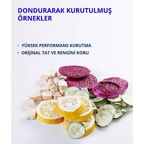 Dalle DLF-04 Freeze Dry Dondurarak Meyve Sebze Kurutma Fırını