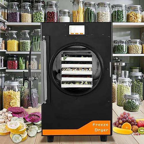 Dalle DFD-06 Freeze Dryer Dondurarak Gda Kurutma Frn