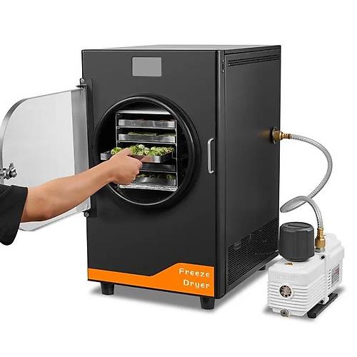 Dalle DFD-06 Freeze Dryer Dondurarak Gda Kurutma Frn