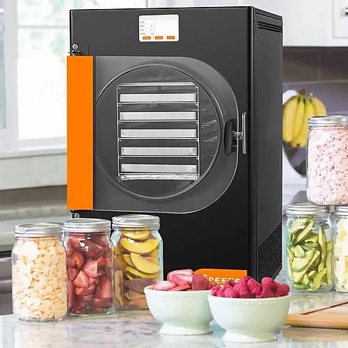 Dalle DFD-06 Freeze Dryer Dondurarak Gda Kurutma Frn
