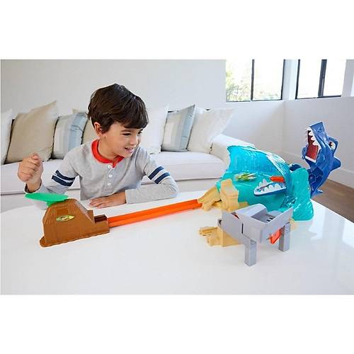 Hot Wheels Kpek Bal Kumsal Yar Oyun Seti
