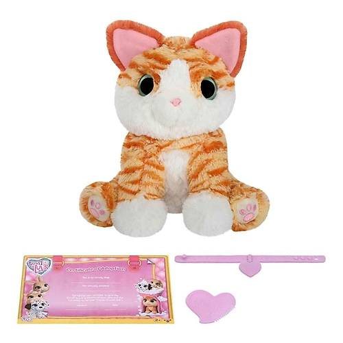 Little Live Pets Scruff A Luvs Klasik Seri Srpriz Kutu Kedi
