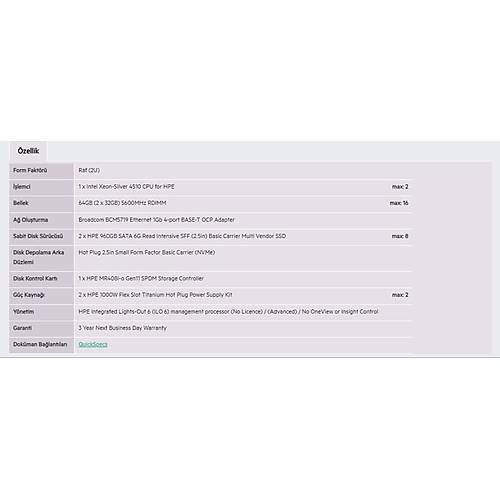 HPE DL380 Gen11 4510-64GB-2x960GB SSD-2U (P71674)