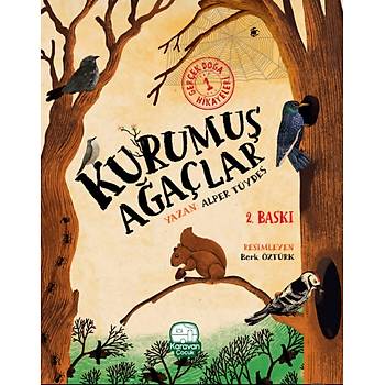 Kurumu Aalar, Alper Tyde, 2. BASKI