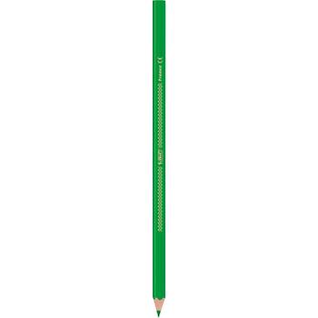 Bic ntensity Color Up Kuru Boya Kalemi 12Li