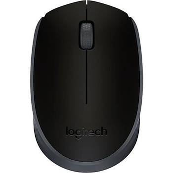 Logitech 910-004424 M171 Kablosuz Siyah Mouse