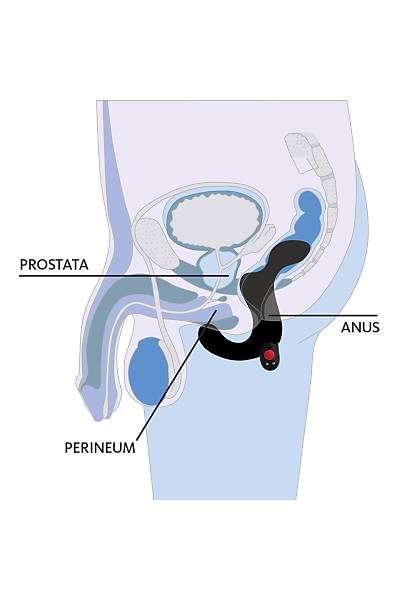 Fun Factory Duke prostat stim�lat�r�, Silikon, ye�il, 12 cm