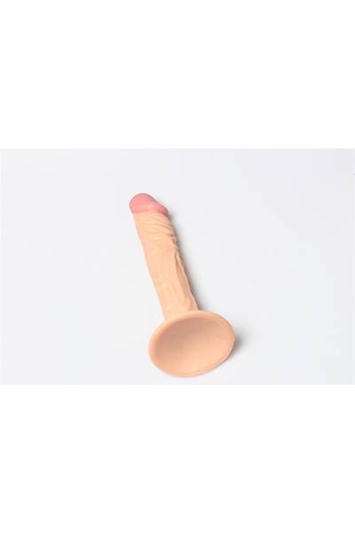 Vantuzlu Penis Testizsiz 21cm