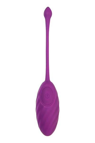 Uzaktan Kumandal� Titre�imli Yumurta Purr, Silikon, Mor, 18 cm