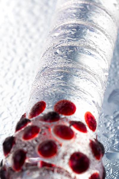 Sexus Glass �ift tarafl� yapay penis, cam, transparan, 22 cm