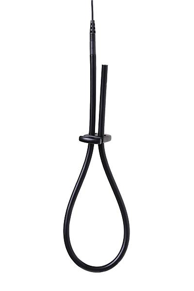 Mystim Rodeo Robin'in penis kement, Elektrik stim�lasyonu, silikon, siyah, 42cm