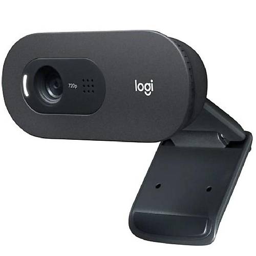 Logitech 960-001364 C505 HD 720p Mikrofonlu Webcam