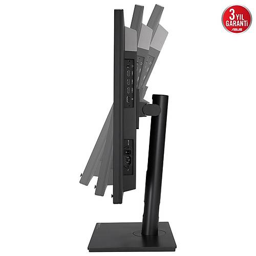 Asus ProArt PA32DC 31.5