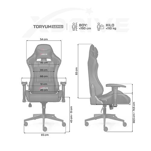 xDrive Toryum Oyuncu Koltu�u Siyah/Siyah
