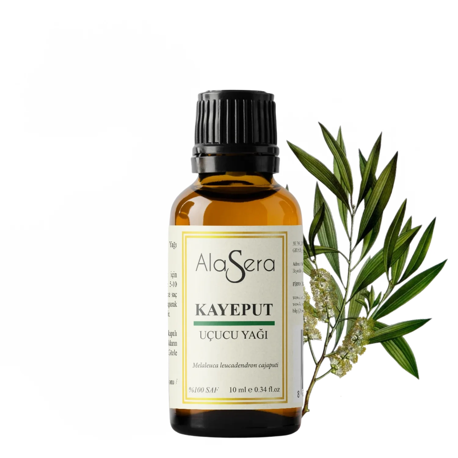 ALASERA KAYEPUT YAĞI 10 ML