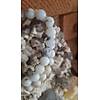 G�rsel 1