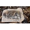 G�rsel 1