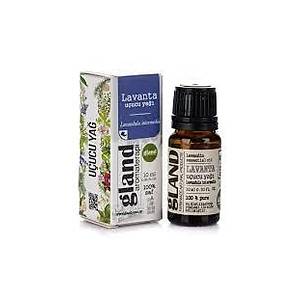 Lavanta u�ucu ya��