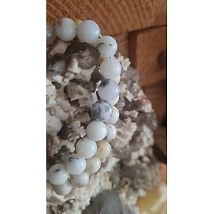 DENTR�TL� OPAL B�LEKL�K 2500