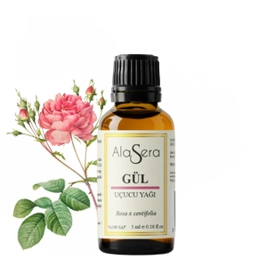 ALASERA G�L YA�I 5 ML