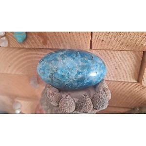 APAT�TE PALM STONE 3500