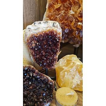 C�TR�NE STANDLI 5000