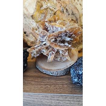 ��L G�L� K�TLE 1500