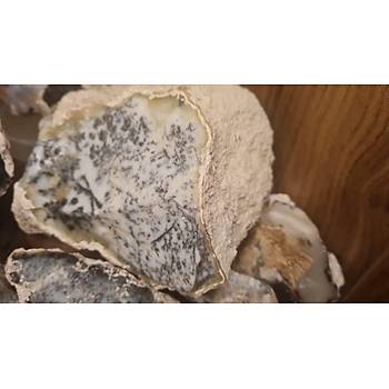 DENTR�TL� OPAL 2500