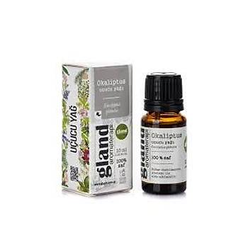 Okaliptus u�ucu ya��