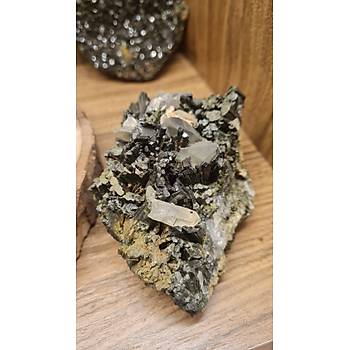 DENTRTL OPAL 1000