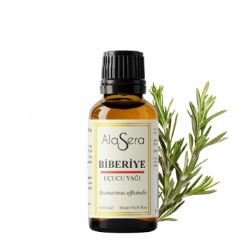 ALASERA B�BER�YE YA�I 10 ML