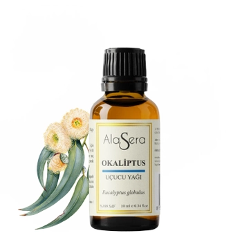 ALASERA OKALIPTUS YA�I 10 ML