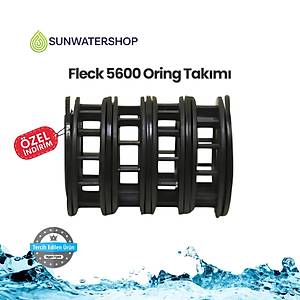 Fleck 5600 Oring Tak�m�
