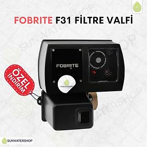 Fobrite F31 Filtre Valfi