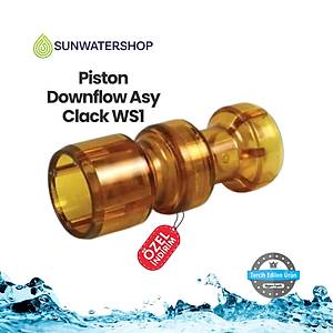 Piston Downflow Asy Clack WS1