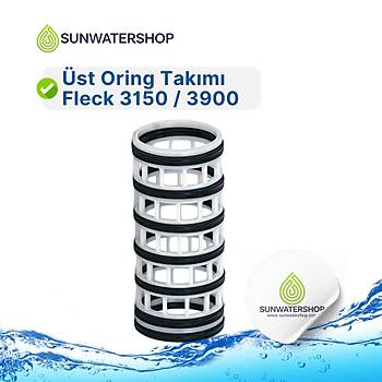 st Oring Takm Fleck 3150 / 3900