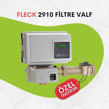 Fleck 2910 3,9 m3/h Tam Otomatik Aktif Karbon Filtre Sistemi