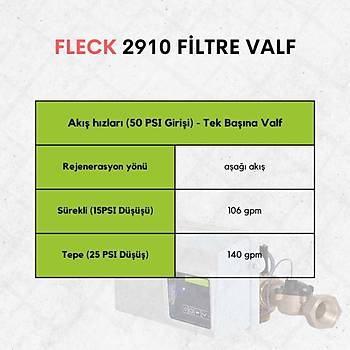 Fleck 2910 Filtre Valf