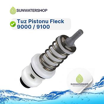 Tuz Pistonu Fleck 9000 / 9100