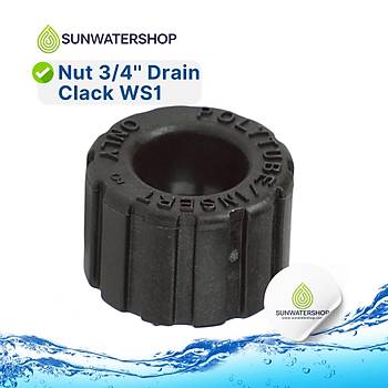 Nut 3/4'' Drain  Clack  WS1