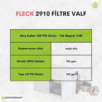 Fleck 2910 Filtre Valf