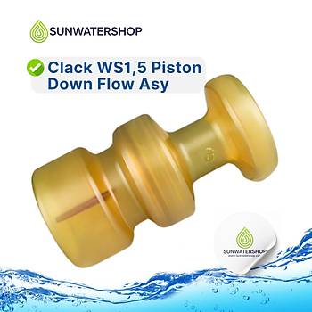 Clack WS1,5 Piston Down Flow Asy