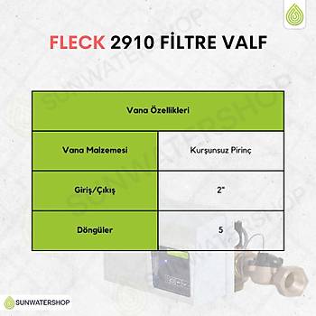 Fleck 2910 Filtre Valf